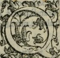An illustration from Tractatvs lvcvlentvs de iuramento litis decisorio (1595)