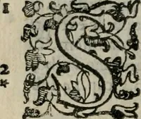 An illustration from Tractatvs lvcvlentvs de iuramento litis decisorio (1595)