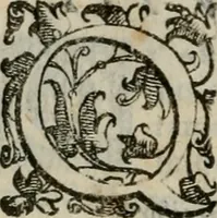 An illustration from Tractatvs lvcvlentvs de iuramento litis decisorio (1595)