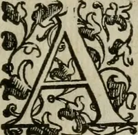 An illustration from Tractatvs lvcvlentvs de iuramento litis decisorio (1595)