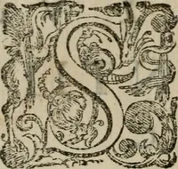 An illustration from Tractatvs lvcvlentvs de iuramento litis decisorio (1595)