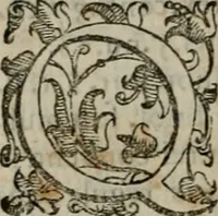 An illustration from Tractatvs lvcvlentvs de iuramento litis decisorio (1595)