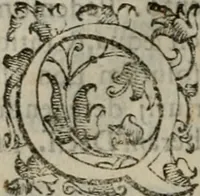 An illustration from Tractatvs lvcvlentvs de iuramento litis decisorio (1595)