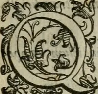 An illustration from Tractatvs lvcvlentvs de iuramento litis decisorio (1595)