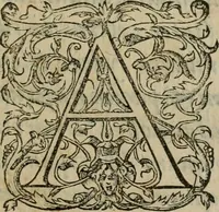 An illustration from Tractatvs lvcvlentvs de iuramento litis decisorio (1595)
