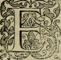 An illustration from Tractatvs lvcvlentvs de iuramento litis decisorio (1595)