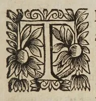 An illustration from Tractatvs physicvs de motv locali : in qvo effectvs omnes, qvi ad impetvm, motum naturalem, violentum, & mixtum pertinent, explicantur, & ex principiis physicis demonstrantur. (1646)