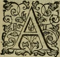 An illustration from A tracte containing the artes of curious paintinge, caruinge & buildinge (1598)