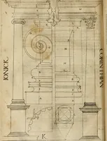 An illustration from A tracte containing the artes of curious paintinge, caruinge & buildinge (1598)