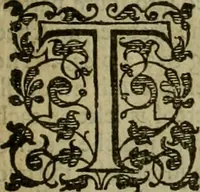 An illustration from A tracte containing the artes of curious paintinge, caruinge & buildinge (1598)