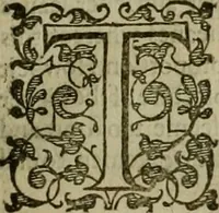 An illustration from A tracte containing the artes of curious paintinge, caruinge & buildinge (1598)