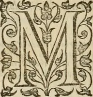 An illustration from A tracte containing the artes of curious paintinge, caruinge & buildinge (1598)