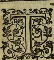 An illustration from A tracte containing the artes of curious paintinge, caruinge & buildinge (1598)