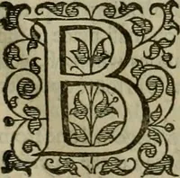 An illustration from A tracte containing the artes of curious paintinge, caruinge & buildinge (1598)