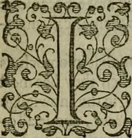 An illustration from A tracte containing the artes of curious paintinge, caruinge & buildinge (1598)