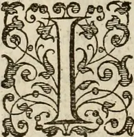 An illustration from A tracte containing the artes of curious paintinge, caruinge & buildinge (1598)