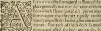 An illustration from A tracte containing the artes of curious paintinge, caruinge & buildinge (1598)