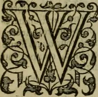 An illustration from A tracte containing the artes of curious paintinge, caruinge & buildinge (1598)