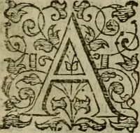 An illustration from A tracte containing the artes of curious paintinge, caruinge & buildinge (1598)