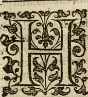 An illustration from A tracte containing the artes of curious paintinge, caruinge & buildinge (1598)