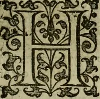 An illustration from A tracte containing the artes of curious paintinge, caruinge & buildinge (1598)