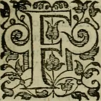 An illustration from A tracte containing the artes of curious paintinge, caruinge & buildinge (1598)