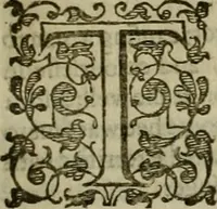 An illustration from A tracte containing the artes of curious paintinge, caruinge & buildinge (1598)