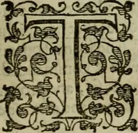 An illustration from A tracte containing the artes of curious paintinge, caruinge & buildinge (1598)