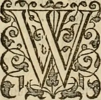 An illustration from A tracte containing the artes of curious paintinge, caruinge & buildinge (1598)