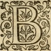 Picture 106 of 224 from A tracte containing the artes of curious paintinge, caruinge & buildinge (1598), leaf 221