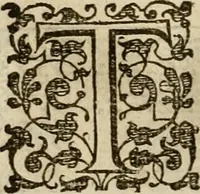 An illustration from A tracte containing the artes of curious paintinge, caruinge & buildinge (1598)