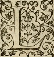 An illustration from A tracte containing the artes of curious paintinge, caruinge & buildinge (1598)