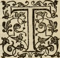 An illustration from A tracte containing the artes of curious paintinge, caruinge & buildinge (1598)