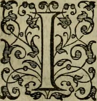 An illustration from A tracte containing the artes of curious paintinge, caruinge & buildinge (1598)