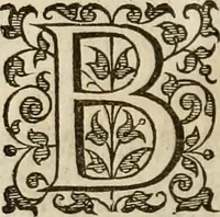An illustration from A tracte containing the artes of curious paintinge, caruinge & buildinge (1598)