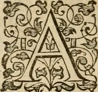 An illustration from A tracte containing the artes of curious paintinge, caruinge & buildinge (1598)