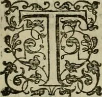An illustration from A tracte containing the artes of curious paintinge, caruinge & buildinge (1598)