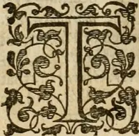 Picture 132 of 224 from A tracte containing the artes of curious paintinge, caruinge & buildinge (1598), leaf 249