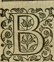 An illustration from A tracte containing the artes of curious paintinge, caruinge & buildinge (1598)