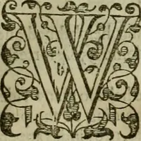 An illustration from A tracte containing the artes of curious paintinge, caruinge & buildinge (1598)