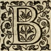 An illustration from A tracte containing the artes of curious paintinge, caruinge & buildinge (1598)