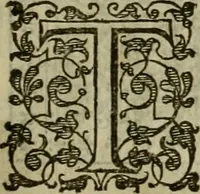 An illustration from A tracte containing the artes of curious paintinge, caruinge & buildinge (1598)