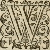An illustration from A tracte containing the artes of curious paintinge, caruinge & buildinge (1598)