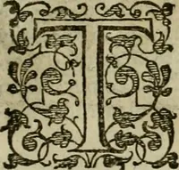 An illustration from A tracte containing the artes of curious paintinge, caruinge & buildinge (1598)