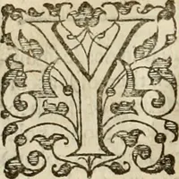 An illustration from A tracte containing the artes of curious paintinge, caruinge & buildinge (1598)