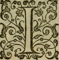 An illustration from A tracte containing the artes of curious paintinge, caruinge & buildinge (1598)