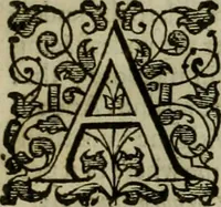 An illustration from A tracte containing the artes of curious paintinge, caruinge & buildinge (1598)