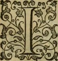 An illustration from A tracte containing the artes of curious paintinge, caruinge & buildinge (1598)