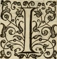 An illustration from A tracte containing the artes of curious paintinge, caruinge & buildinge (1598)