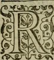 An illustration from A tracte containing the artes of curious paintinge, caruinge & buildinge (1598)